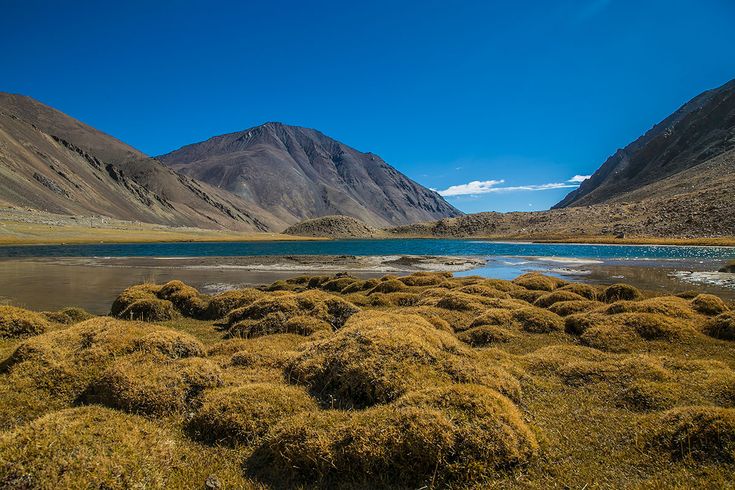 Ladakh Tour Packages With Tso Moriri