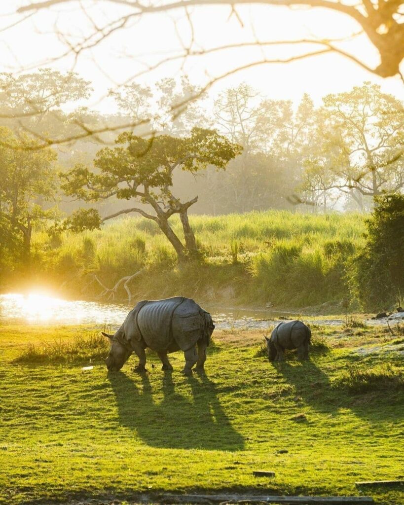 9-Day Arunachal Pradesh Kaziranga Itinerary