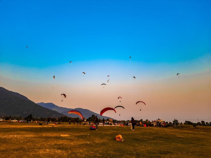 Shimla Manali Bir Dharamshala Tour Package