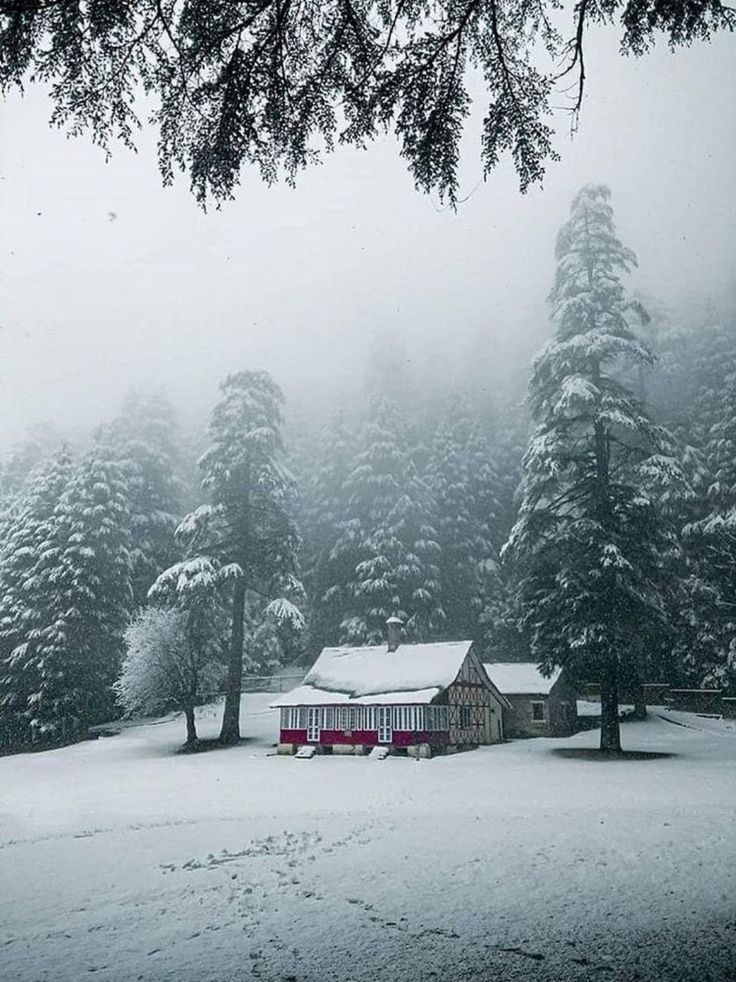 Dalhousie