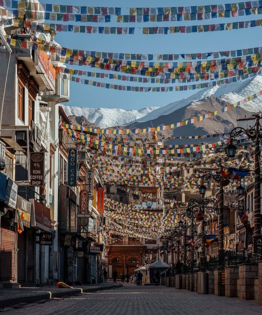 7 Day Apricot Blossom Tour Leh Ladakh