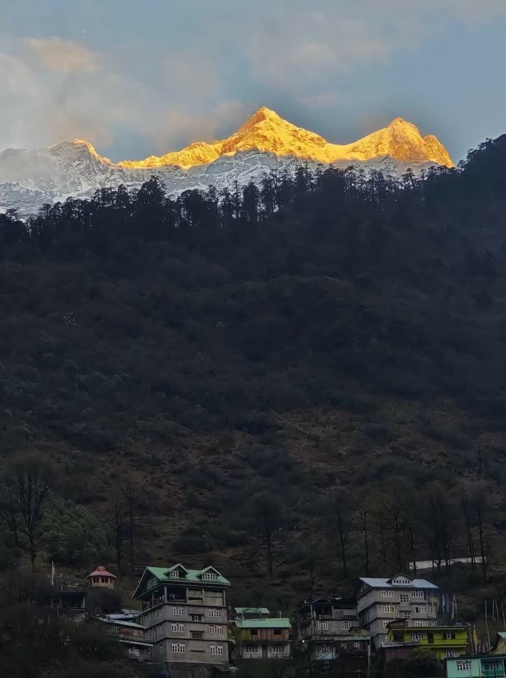 8 Days Sikkim Tour Package