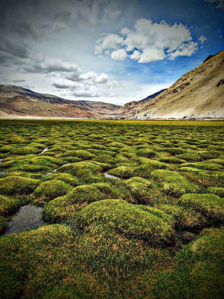 Leh Ladakh Tour Package