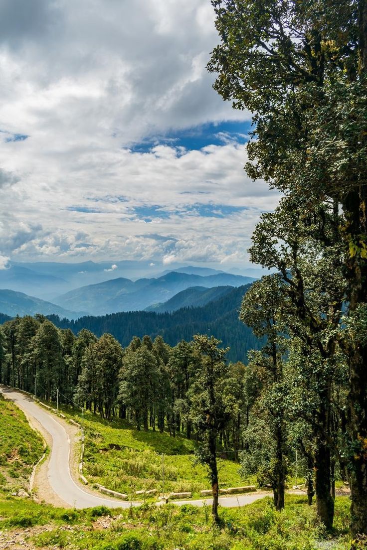 Jalori Pass mountain road near Khanag in Himachal Pradesh