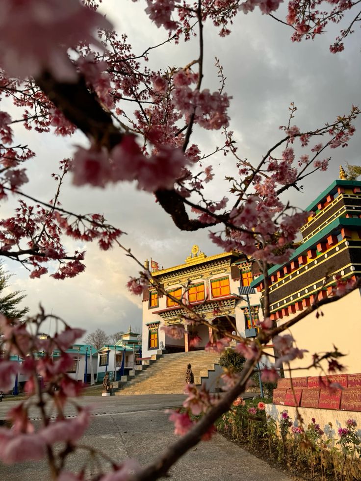 Bir Billing Rajgundha Trip
