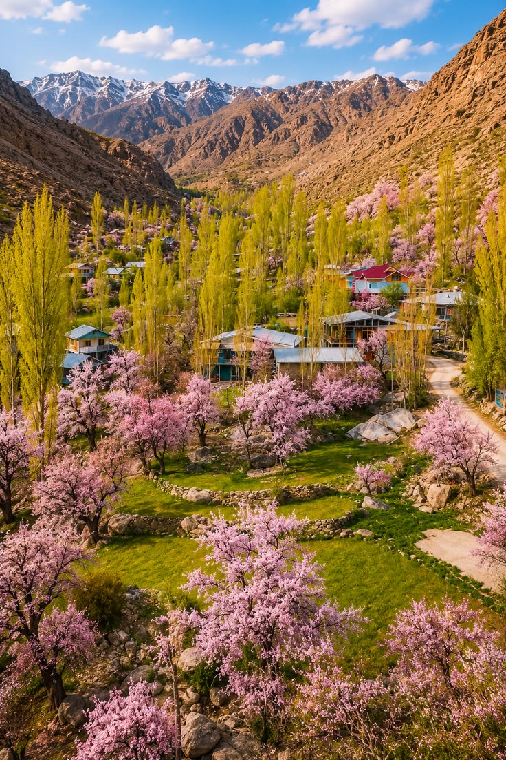 Apricot Blossom Aryan Valley Festival Tour – 8 Days